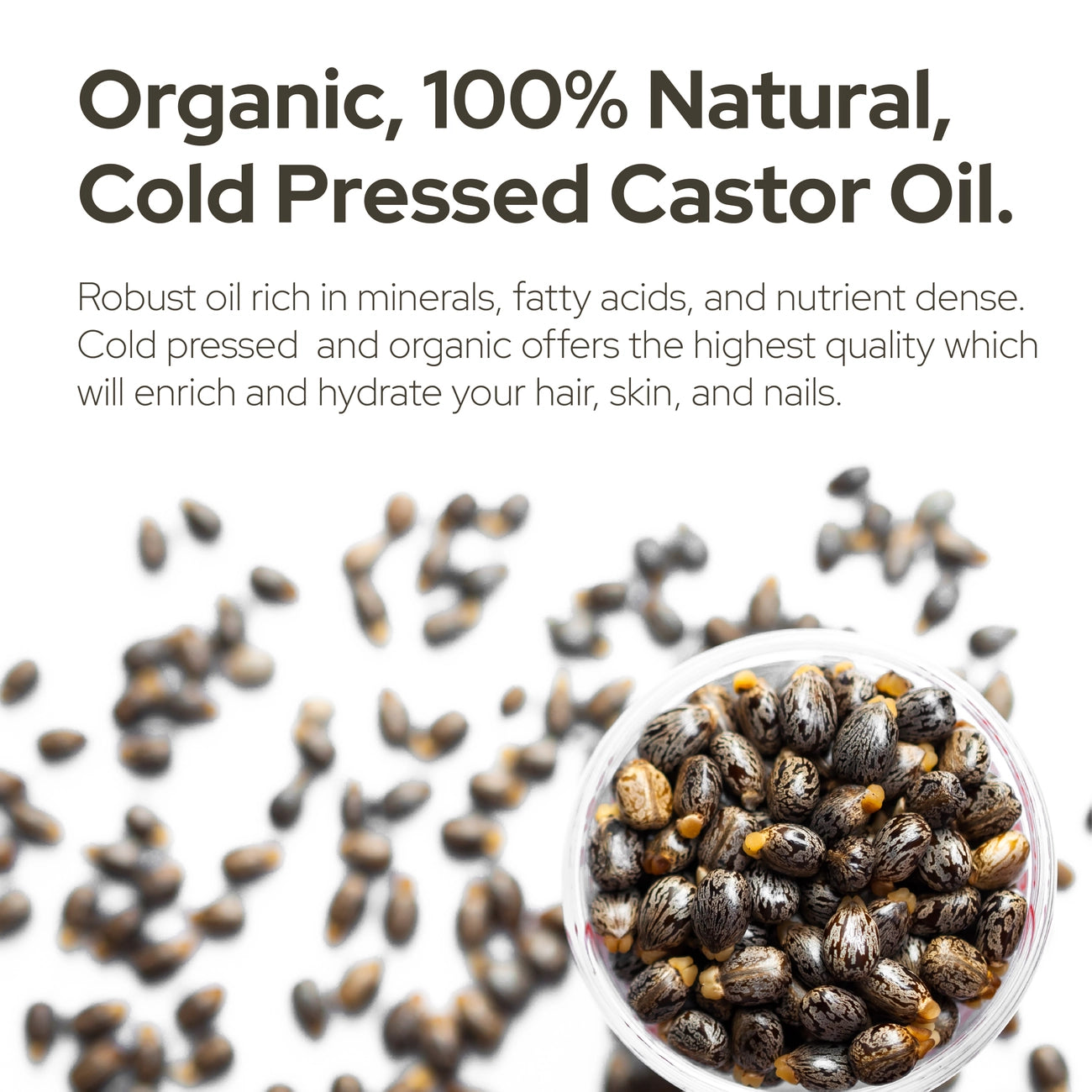 Plant of Life Organic Castor Oil | Strengthens & Nourishes Hair & Eyebrows